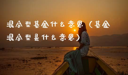 混合型基金什么意思（基金混合型是什么意思）_https://www.ltsssb.com_基金频道_第1张
