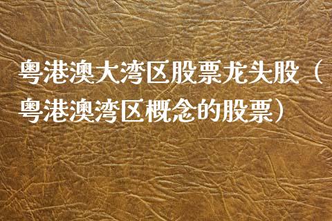 粤港澳大湾区股票龙头股（粤港澳湾区概念的股票）_https://www.ltsssb.com_新股数据_第1张