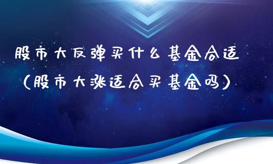 股市大反弹买什么基金合适（股市大涨适合买基金吗）_https://www.ltsssb.com_基金频道_第1张