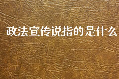 政法宣传说指的是什么_https://www.ltsssb.com_新股数据_第1张