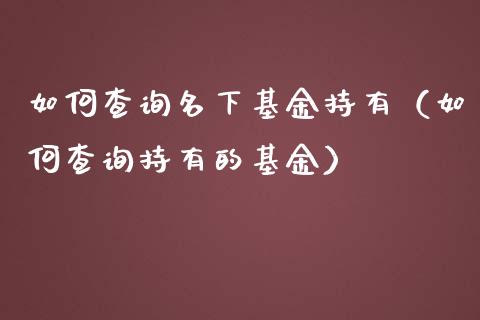 如何查询名下基金持有（如何查询持有的基金）_https://www.ltsssb.com_国际财经_第1张