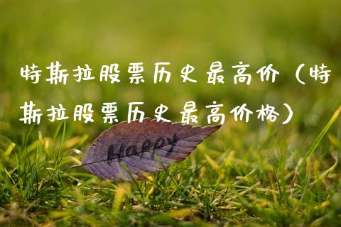 特斯拉股票历史最高价（特斯拉股票历史最高价格）_https://www.ltsssb.com_新股数据_第1张