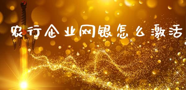 农行企业网银怎么激活_https://www.ltsssb.com_国际财经_第1张