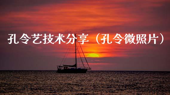 孔令艺技术分享（孔令微照片）_https://www.ltsssb.com_期货密码_第1张