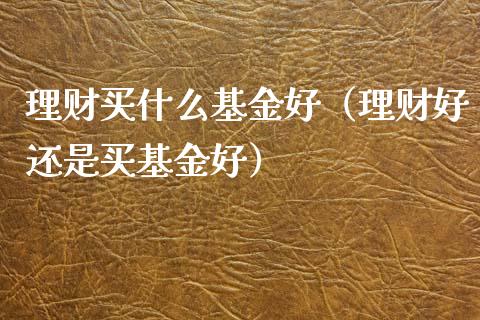 理财买什么基金好（理财好还是买基金好）_https://www.ltsssb.com_国际财经_第1张