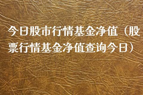 今日股市行情基金净值（股票行情基金净值查询今日）_https://www.ltsssb.com_国际财经_第1张