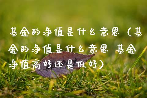 基金的净值是什么意思（基金的净值是什么意思 基金净值高好还是低好）_https://www.ltsssb.com_基金频道_第1张