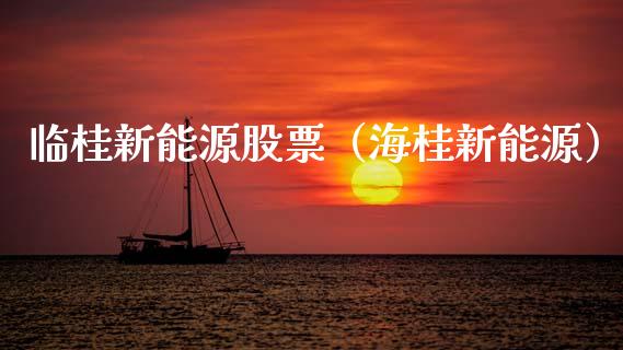 临桂新能源股票（海桂新能源）_https://www.ltsssb.com_股市分析_第1张