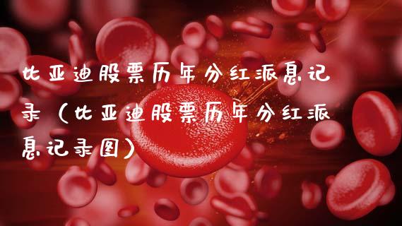 比亚迪股票历年分红派息记录（比亚迪股票历年分红派息记录图）_https://www.ltsssb.com_新股数据_第1张