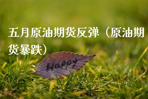 五月原油期货反弹（原油期货暴跌）_https://www.ltsssb.com_期货密码_第1张