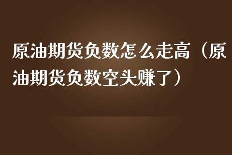 原油期货负数怎么走高（原油期货负数空头赚了）_https://www.ltsssb.com_期货密码_第1张