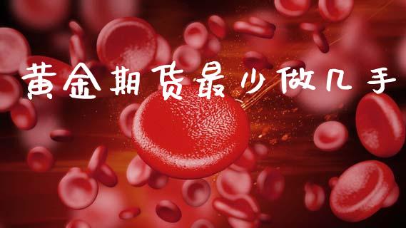 黄金期货最少做几手_https://www.ltsssb.com_期货密码_第1张