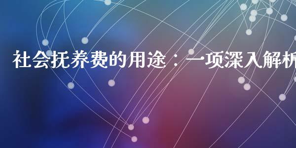 社会抚养费的用途：一项深入解析_https://www.ltsssb.com_期货在线_第1张
