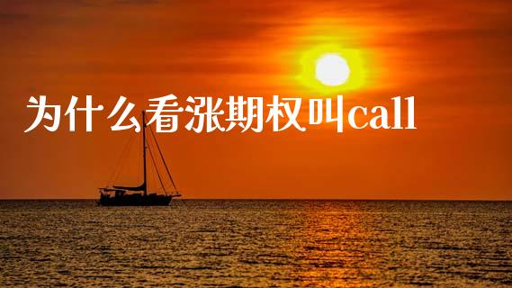 为什么看涨期权叫call_https://www.ltsssb.com_股票理论_第1张