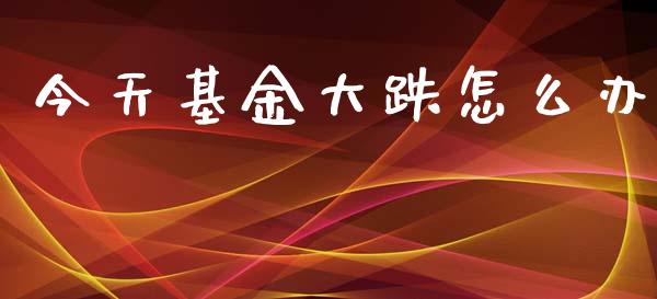 今天基金大跌怎么办_https://www.ltsssb.com_新股数据_第1张