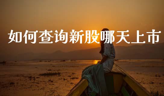 如何查询新股哪天上市_https://www.ltsssb.com_期货在线_第1张