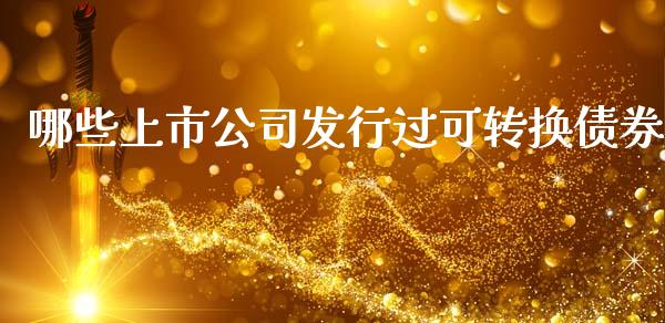 哪些上市公司发行过可转换债券_https://www.ltsssb.com_国际财经_第1张