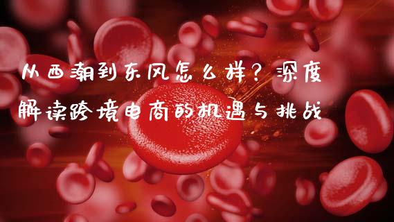 从西潮到东风怎么样？深度解读跨境电商的机遇与挑战_https://www.ltsssb.com_国际财经_第1张