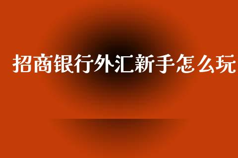 招商银行外汇新手怎么玩_https://www.ltsssb.com_基金频道_第1张