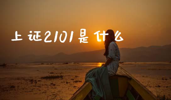 上证2101是什么_股票理论_第1张_IT财经网 上证2101是什么_https://www.ltsssb.com_股票理论_第1张