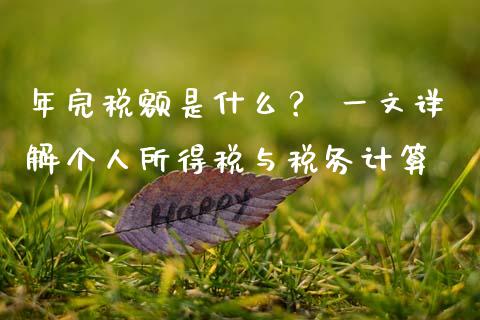 年完税额是什么？ 一文详解个人所得税与税务计算_https://www.ltsssb.com_期货在线_第1张