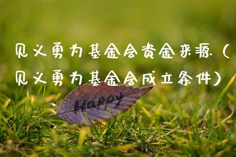 见义勇为基金会资金来源（见义勇为基金会成立条件）_https://www.ltsssb.com_国际财经_第1张