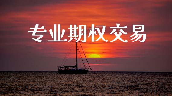 专业期权交易_https://www.ltsssb.com_股票理论_第1张