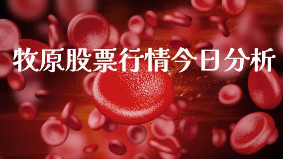 牧原股票行情今日分析_https://www.ltsssb.com_股市分析_第1张