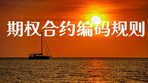 期权合约编码规则_https://www.ltsssb.com_股市分析_第1张