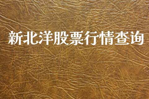 新北洋股票行情查询_https://www.ltsssb.com_股市分析_第1张