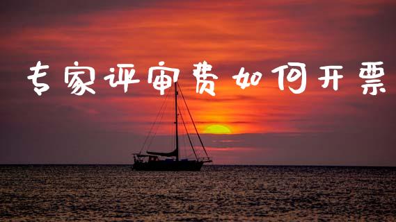 专家评审费如何开票_https://www.ltsssb.com_期货密码_第1张