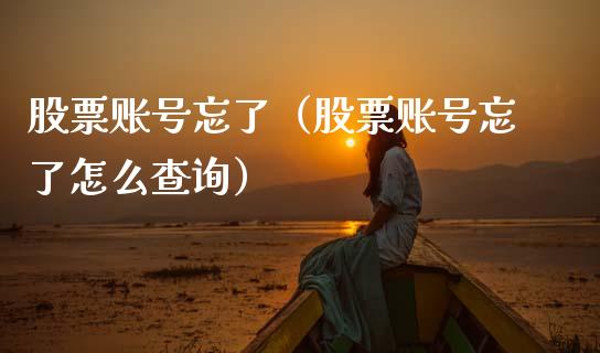 股票账号忘了（股票账号忘了怎么查询）_https://www.ltsssb.com_股市分析_第1张