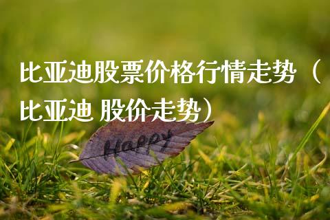 比亚迪股票价格行情走势（比亚迪 股价走势）_https://www.ltsssb.com_股市分析_第1张