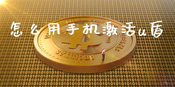 怎么用手机激活u盾_https://www.ltsssb.com_股市分析_第1张