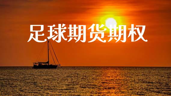 足球期货期权_https://www.ltsssb.com_国际财经_第1张