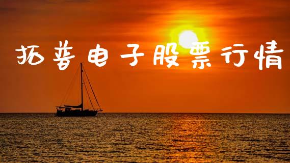 拓普电子股票行情_https://www.ltsssb.com_股市分析_第1张