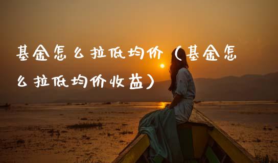 基金怎么拉低均价（基金怎么拉低均价收益）_https://www.ltsssb.com_国际财经_第1张