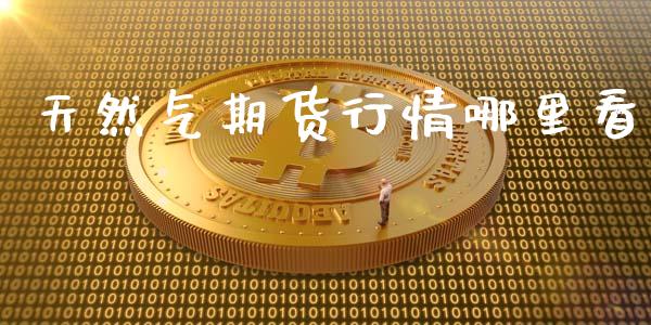 天然气期货行情哪里看_https://www.ltsssb.com_期货行情_第1张