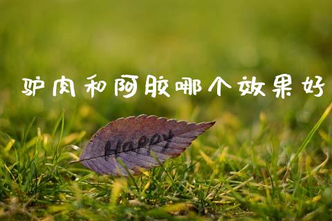 驴肉和阿胶哪个效果好_https://www.ltsssb.com_期货在线_第1张