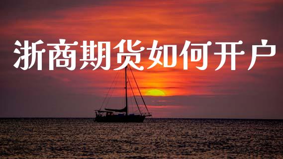 浙商期货如何开户_https://www.ltsssb.com_期货密码_第1张