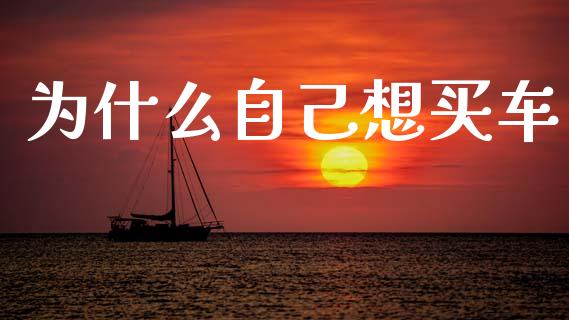 为什么自己想买车_https://www.ltsssb.com_国际财经_第1张