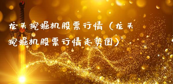 龙头挖掘机股票行情（龙头挖掘机股票行情走势图）_https://www.ltsssb.com_股票理论_第1张