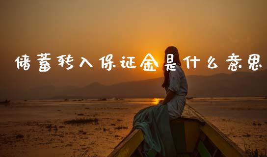 储蓄转入保证金是什么意思_https://www.ltsssb.com_期货密码_第1张