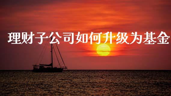 理财子公司如何升级为基金_https://www.ltsssb.com_基金频道_第1张