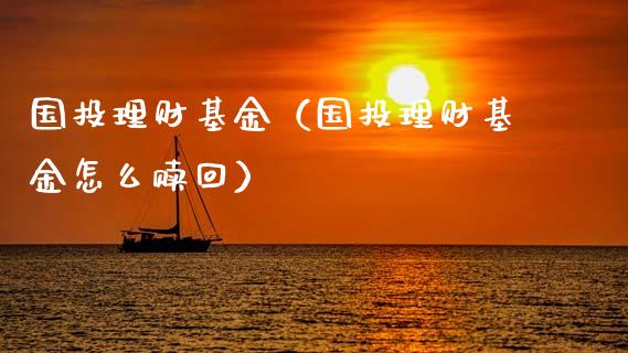 国投理财基金（国投理财基金怎么赎回）_https://www.ltsssb.com_基金频道_第1张
