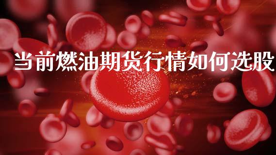 当前燃油期货行情如何选股_https://www.ltsssb.com_期货密码_第1张