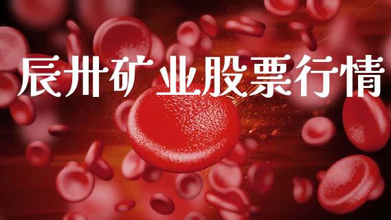 辰卅矿业股票行情_https://www.ltsssb.com_股市分析_第1张