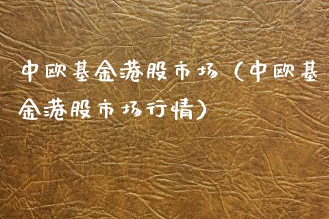 中欧基金港股市场（中欧基金港股市场行情）_https://www.ltsssb.com_基金频道_第1张