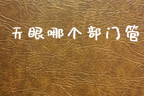 天眼哪个部门管_https://www.ltsssb.com_期货行情_第1张